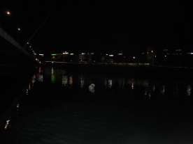 PIC_0055 Geneva at Night with Swan